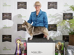 2024 National Dog Show Best Of Breed