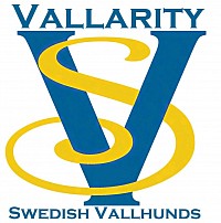 Vallarity Logo